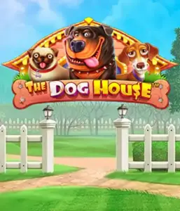 From Pragmatic Play comes The Dog House, featuring a fun-filled journey through playful pups. Engage in features including sticky wilds, designed for delivering entertaining gameplay. Ideal for those who enjoy an amusing theme alongside lucrative rewards.