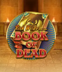 Embark on the thrilling world of Book of Dead by Play'n GO, showcasing vivid graphics of Rich Wilde’s adventurous journey through ancient Egyptian tombs and artifacts. Find lost riches with engaging mechanics like free spins, expanding icons, and a gamble option. Ideal for adventure seekers with a desire for unearthing secrets.